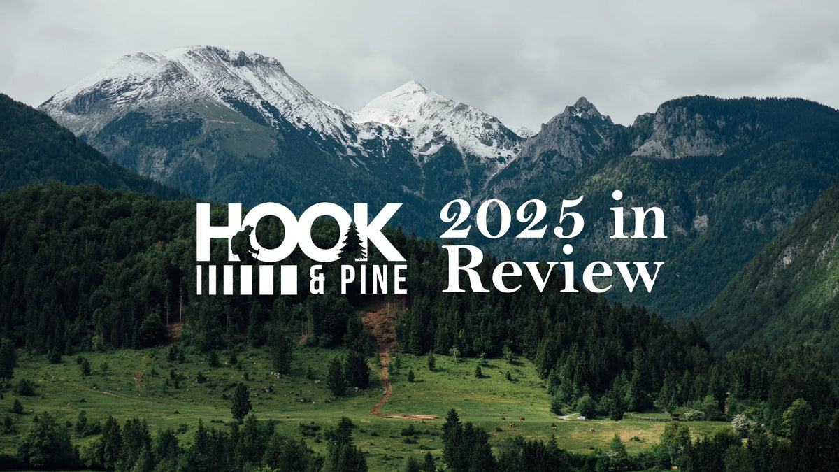 2025 in Review