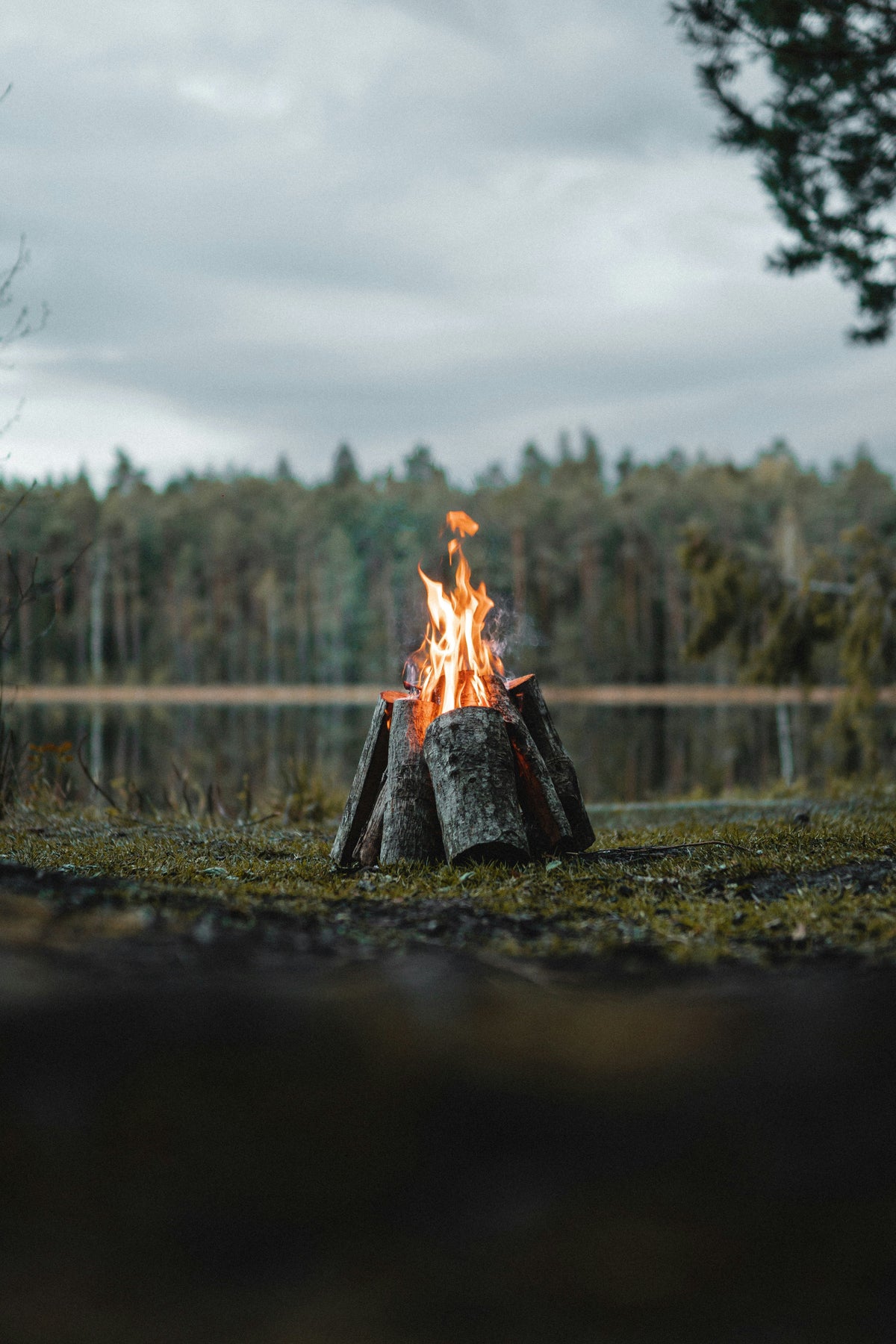 Northwoods: Around the Fire