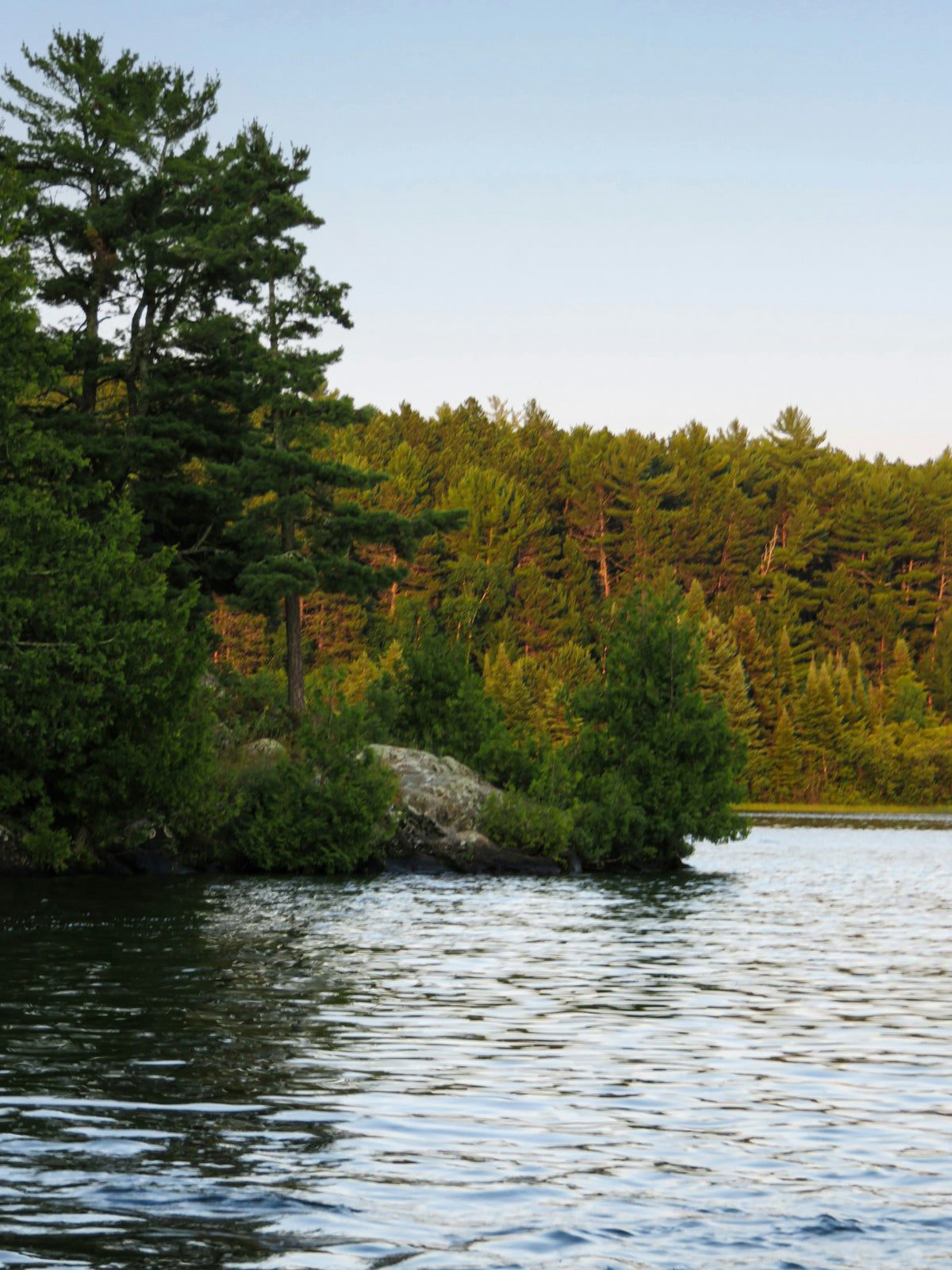 Northwoods