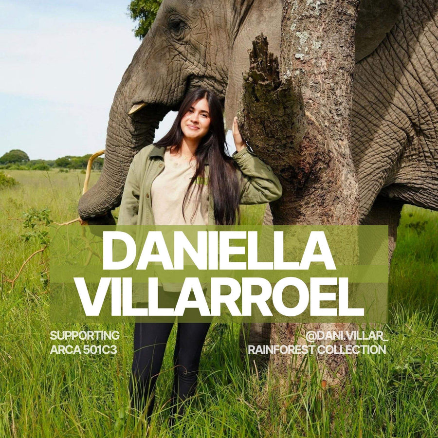 Dani's Collection