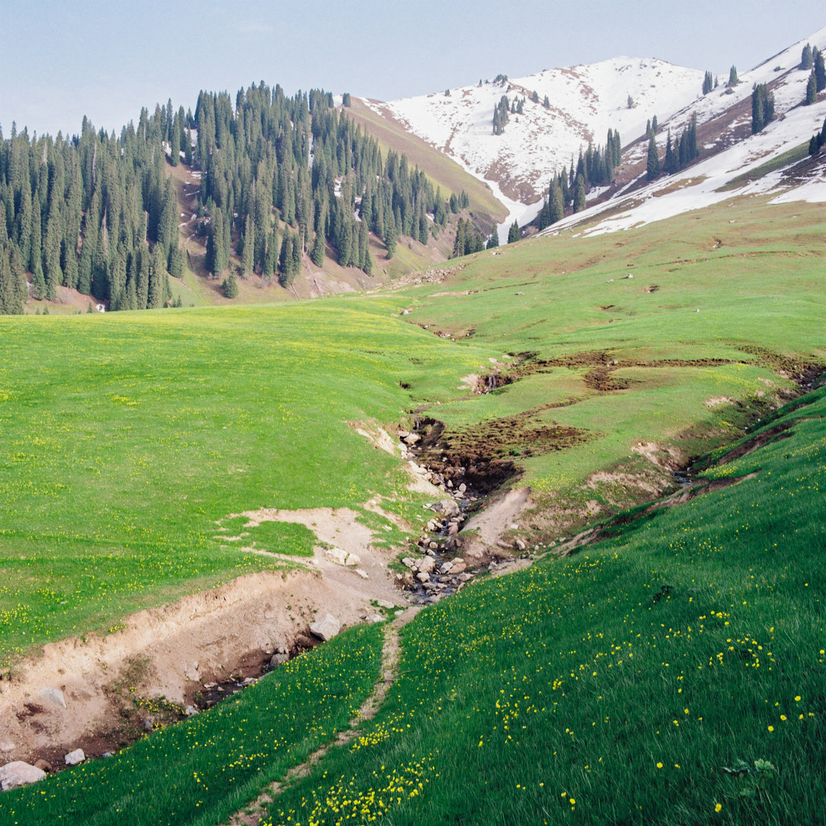 Mountains